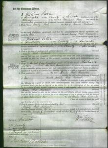 Court of Common Pleas - Emily Ford Badcock-Original Ancestry