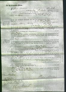 Court of Common Pleas - Mary Hughes-Original Ancestry