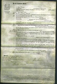 Court of Common Pleas - Alice Gillet-Original Ancestry