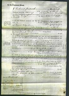 Court of Common Pleas - Bridget Barrell-Original Ancestry