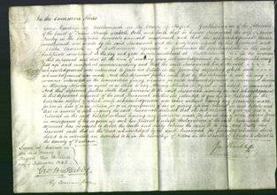 Court of Common Pleas - Susannah Insley-Original Ancestry