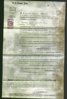 Court of Common Pleas - Sarah Elizabeth Turner-Original Ancestry