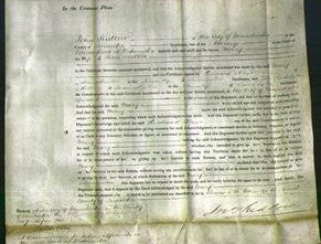 Court of Common Pleas - Mary Sudren-Original Ancestry