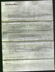 Court of Common Pleas - Charlotte Pike-Original Ancestry