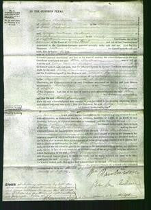 Court of Common Pleas - Eliza Rawlinson-Original Ancestry