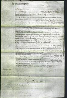 Court of Common Pleas - Mary Turley-Original Ancestry