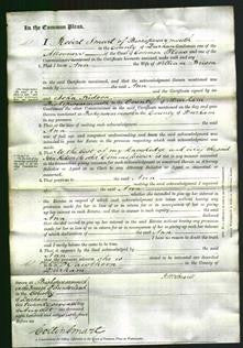 Court of Common Pleas - Ann Brison-Original Ancestry