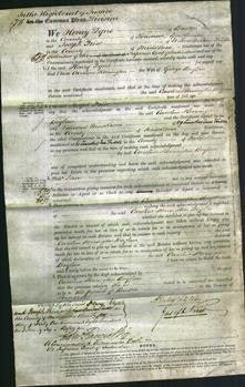 Court of Common Pleas - Caroline Herrington Boylan-Original Ancestry