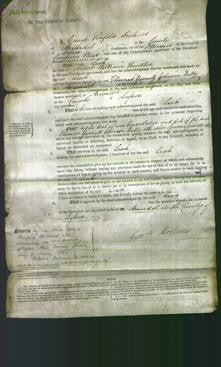Court of Common Pleas - Leah Busted-Original Ancestry