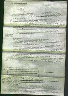 Court of Common Pleas - Mary Rowe-Original Ancestry