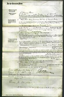 Court of Common Pleas - Mary Harrison Beeby-Original Ancestry