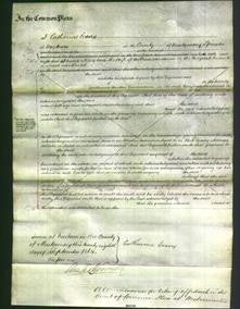 Court of Common Pleas - Mary Ann Houseman-Original Ancestry
