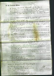 Court of Common Pleas - Harriett Hewitt-Original Ancestry