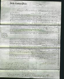 Court of Common Pleas - Emily Fitzwilliam Farrant-Original Ancestry