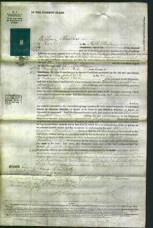 Court of Common Pleas - The Right Honorable Charlotte Georgina Dorothea Lady Lovat-Original Ancestry