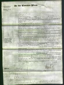 Court of Common Pleas - Sarah Trasler-Original Ancestry