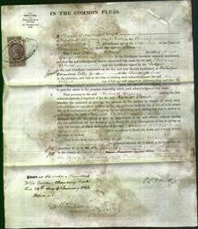 Court of Common Pleas - Harriet Vibart Stephens-Original Ancestry