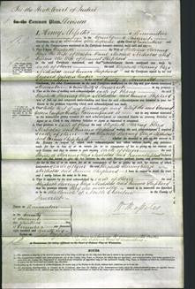 Court of Common Pleas - Elizabeth Sherring, Eliza Nicholas and Emma Shepherd-Original Ancestry