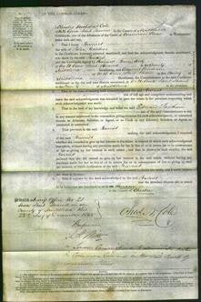 Court of Common Pleas - Harriet Carloss-Original Ancestry