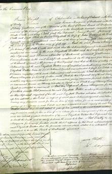 Court of Common Pleas - Elizabeth Walker-Original Ancestry