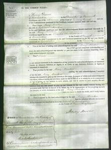 Court of Common Pleas - Mary Moreton-Original Ancestry