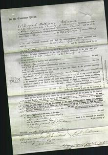 Court of Common Pleas - Ann Gambling-Original Ancestry