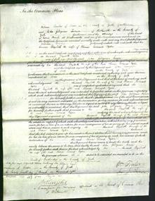 Court of Common Pleas - Elizabeth Upton-Original Ancestry