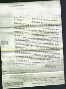 Court of Common Pleas - Eliza Pulver-Original Ancestry