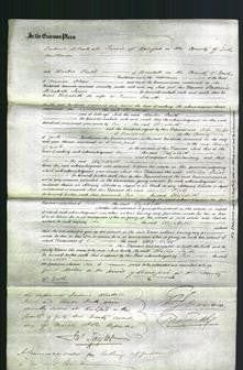 Court of Common Pleas - Elizabeth Jowett-Original Ancestry