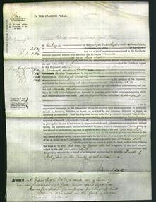 Court of Common Pleas - Isabella Smith-Original Ancestry