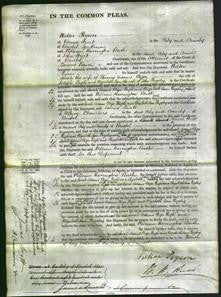 Court of Common Pleas - Sarah Adams, Eliza Pugh and Elizabeth Ann Pugsley-Original Ancestry