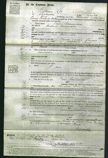 Court of Common Pleas - Jane Emmerson-Original Ancestry