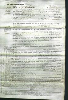 Court of Common Pleas - Elizabeth Press-Original Ancestry