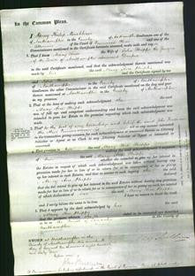 Court of Common Pleas - Mary Ann Phipps-Original Ancestry