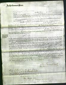 Court of Common Pleas - Elizabeth Dale-Original Ancestry