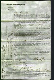 Court of Common Pleas - Laura Ann Willis-Original Ancestry