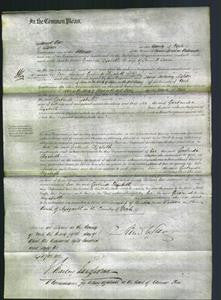 Court of Common Pleas - Gertrude Elizabeth Swire-Original Ancestry