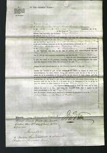 Court of Common Pleas - Eliza Ritchie-Original Ancestry