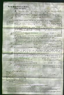 Court of Common Pleas - Caroline Sheppard-Original Ancestry