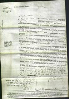 Court of Common Pleas - Louisa Smyth-Original Ancestry
