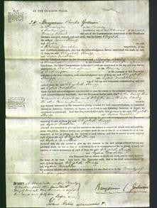 Court of Common Pleas - Elizabeth Knapp-Original Ancestry