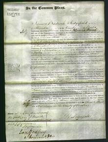 Court of Common Pleas - Martha Stone-Original Ancestry