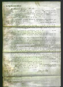 Court of Common Pleas - Matilda Skinner and Elizabeth Harding-Original Ancestry