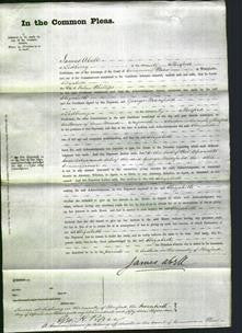 Court of Common Pleas - Elizabeth Phillips-Original Ancestry