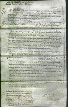 Court of Common Pleas - Isabella Starkey-Original Ancestry