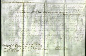 Court of Common Pleas - Lydia Smith-Original Ancestry