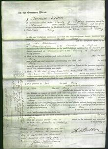 Court of Common Pleas - Mary Dudley-Original Ancestry