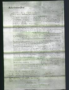 Court of Common Pleas - Ann Roberton-Original Ancestry