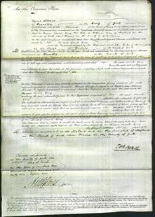 Court of Common Pleas - Sarah Gray-Original Ancestry