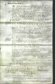 Court of Common Pleas - Elizabeth Jones-Original Ancestry